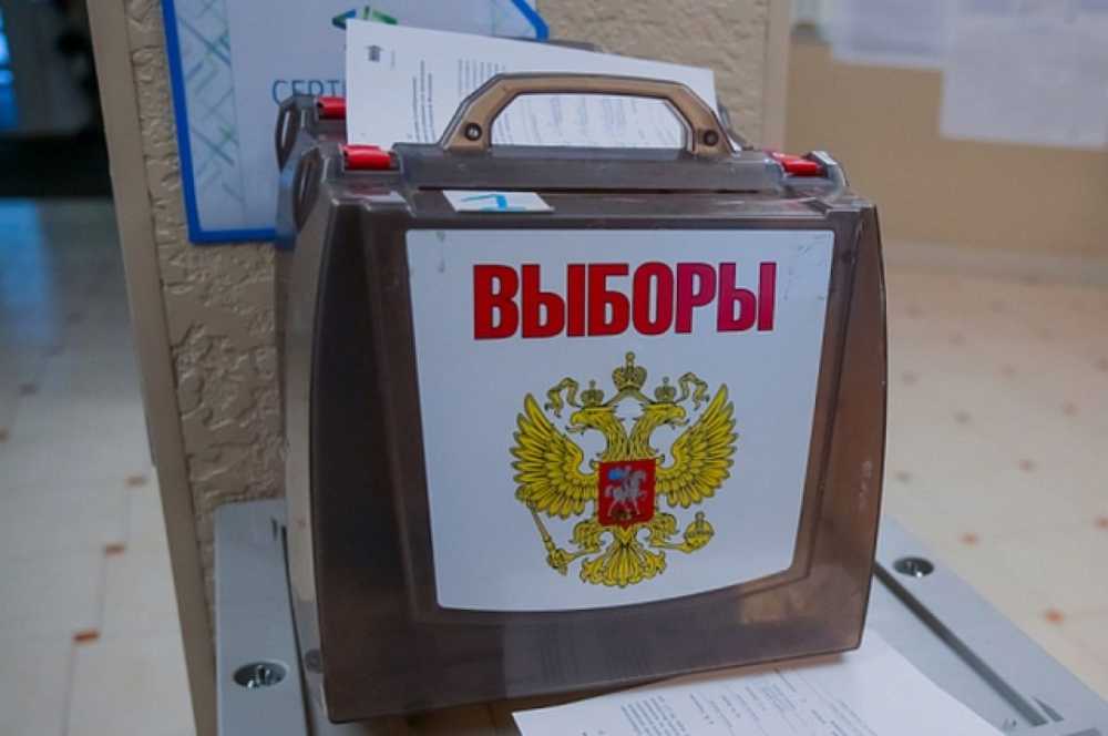 В ДНР досрочное голосование на выборах Президента РФ пройдет с 10 до 14 марта